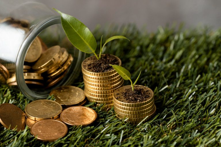 Task Force on Climate-related Financial Disclosures (TCFD) Framework