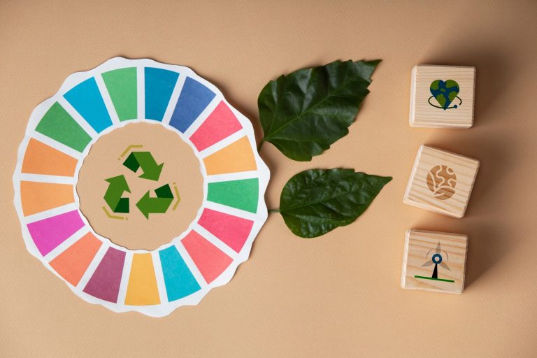 Implementing the Sustainable Development Goals (SDGs) for the Benefit of Corporations and Stakeholders